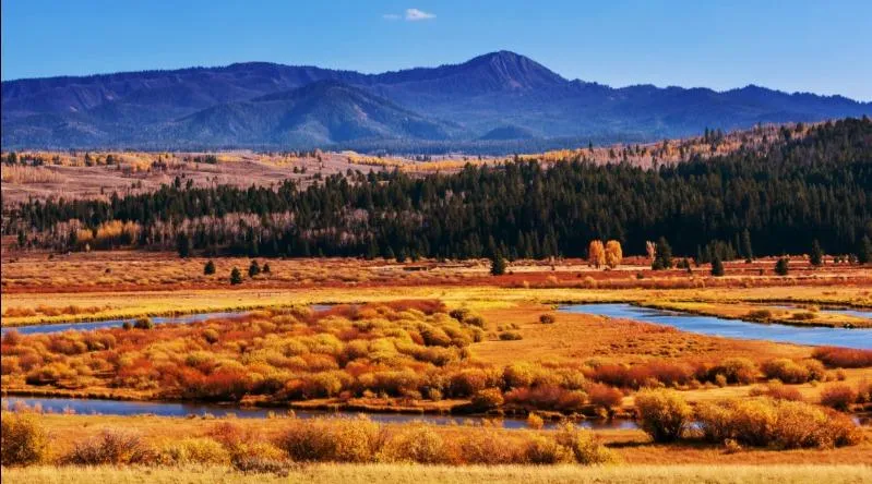 Yellowstone autumn landscape with snow and fall foliage